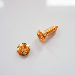 Pickup Rahmenschraube/ Universalschraube - gold - LSK