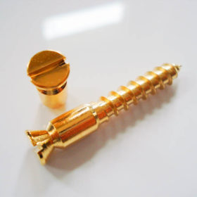 Tremolo Lagerbolzen / Holzschraube - Schaller (Set) gold