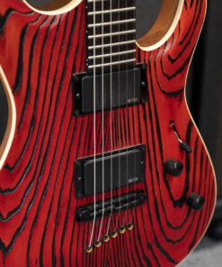 Mayones Custom 2